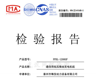 玉柴1200KW檢驗(yàn)報告 檢測報告