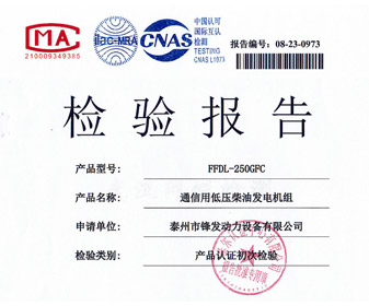 250KW東康檢驗(yàn)報告 檢測報告